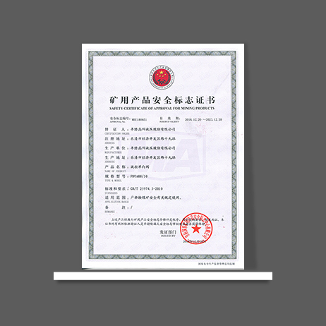 FDYA125-50單向閥