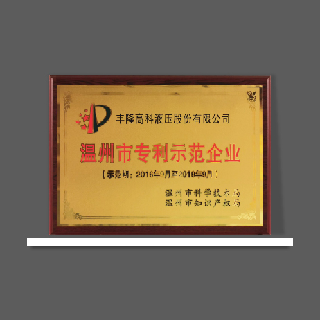 溫州市專利示范企業(yè)